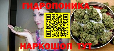 герыч Будённовск