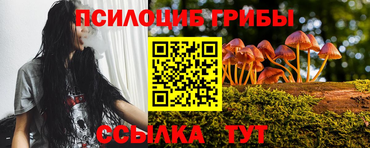 Тельмана  Псилоцибиновые грибы Cubensis  Вход с VPN  Галлюциногенные грибы Psilocybe 