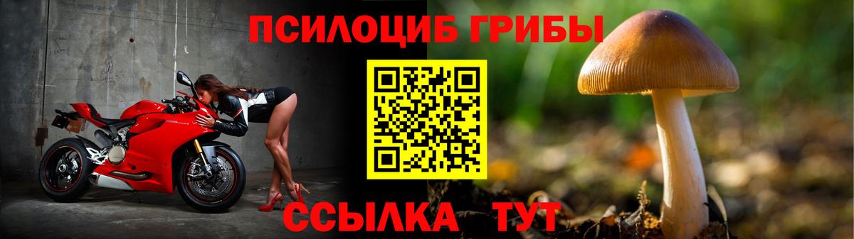 Псилоцибиновые грибы прущие грибы Тельмана